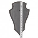 Trophäenschilder Reh 3 Stück Spitz AF 19x11 mit 1 Kieferfach Eiche dunkel ohne Montageklammer GTKv50.63/1KF-3