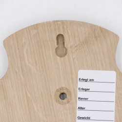 Trophäenschilder Reh 10 Stück Spitz AF 19x11 mit 1 Kieferfach Eiche hell + Montageklammer GTKv50.72/1KF-10+K