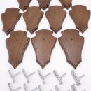 Trophäenschilder Reh 10 Stück Spitz AF 19x11 mit 1 Kieferfach Eiche braun + Montageklammer GTKv50.81/1KF-10+K