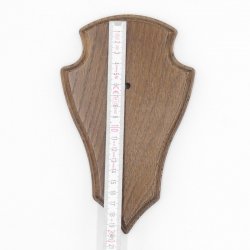 Trophäenschilder Reh 10 Stück Spitz AF 19x11 mit 1 Kieferfach Eiche braun + Montageklammer GTKv50.81/1KF-10+K