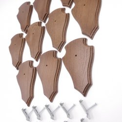 Trophäenschilder Reh 10 Stück Spitz AF 19x11 mit 1 Kieferfach Eiche braun + Montageklammer GTKv50.81/1KF-10+K