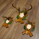 3 Stück Rehgeweihe Rehbocke Reh Bock Kuriositäten Geweihe auf geschnitzten Trophäenschildern 22.1267