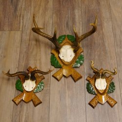 3 Stück Rehgeweihe Rehbocke Reh Bock Kuriositäten Geweihe auf geschnitzten Trophäenschildern 22.1267