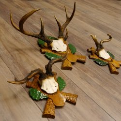 3 Stück Rehgeweihe Rehbocke Reh Bock Kuriositäten Geweihe auf geschnitzten Trophäenschildern 22.1267