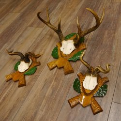 3 Stück Rehgeweihe Rehbocke Reh Bock Kuriositäten Geweihe auf geschnitzten Trophäenschildern 22.1267