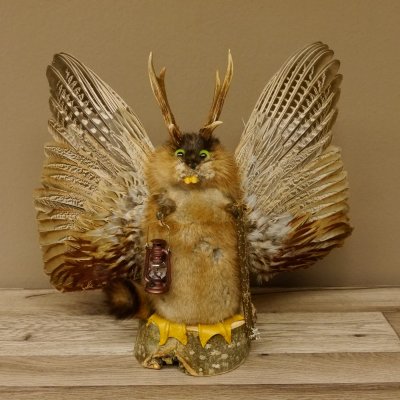 Wolpertinger Wolpi groß Bisam Präparat grüne Augen mit Flügel Geweih Stock Laterne Höhe 38 cm Fabelwesen Gaudi Geschenk 86.14.6