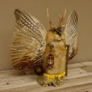 Wolpertinger Wolpi groß Bisam Präparat grüne Augen mit Flügel Geweih Stock Laterne Höhe 38 cm Fabelwesen Gaudi Geschenk 86.14.6
