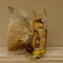 Wolpertinger Wolpi groß Bisam Präparat grüne Augen mit Flügel Geweih Stock Laterne Höhe 38 cm Fabelwesen Gaudi Geschenk 86.14.6