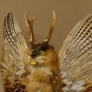 Wolpertinger Wolpi groß Bisam Präparat grüne Augen mit Flügel Geweih Stock Laterne Höhe 38 cm Fabelwesen Gaudi Geschenk 86.14.6