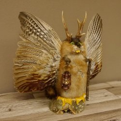 Wolpertinger Wolpi groß Bisam Präparat grüne Augen mit Flügel Geweih Stock Laterne Höhe 38 cm Fabelwesen Gaudi Geschenk 86.14.6