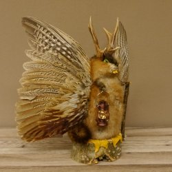 Wolpertinger Wolpi groß Bisam Präparat grüne Augen mit Flügel Geweih Stock Laterne Höhe 38 cm Fabelwesen Gaudi Geschenk 86.14.6