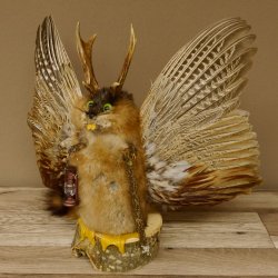 Wolpertinger Wolpi groß Bisam Präparat grüne Augen mit Flügel Geweih Stock Laterne Höhe 38 cm Fabelwesen Gaudi Geschenk 86.14.6