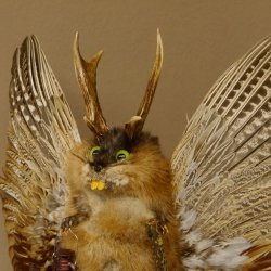 Wolpertinger Wolpi groß Bisam Präparat grüne Augen mit Flügel Geweih Stock Laterne Höhe 38 cm Fabelwesen Gaudi Geschenk 86.14.6