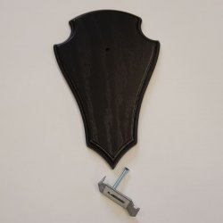 1 Stück Reh Trophäenschild AF 21 x 13 cm Spitz groß in Eiche dunkel mit 1 Kieferfach mit 1 Stück Gehörnklammer