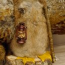 Wolpertinger Wolpi groß Bisam Präparat gelbe Augen mit Flügel Geweih Stock Laterne Höhe 36 cm Fabelwesen Gaudi Geschenk 86.14.10