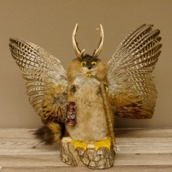 Wolpertinger Wolpi groß Bisam Präparat gelbe Augen mit Flügel Geweih Stock Laterne Höhe 36 cm Fabelwesen Gaudi Geschenk 86.14.10