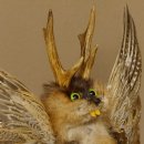 Wolpertinger Wolpi groß Bisam Präparat grüne Augen mit Flügel Geweih Stock Laterne Höhe 36 cm Fabelwesen Gaudi Geschenk 86.14.12
