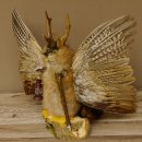 Wolpertinger Wolpi groß Bisam Präparat grüne Augen mit Flügel Geweih Stock Laterne Höhe 36 cm Fabelwesen Gaudi Geschenk 86.14.12