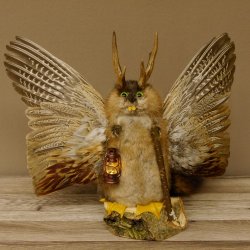 Wolpertinger Wolpi groß Bisam Präparat grüne Augen mit Flügel Geweih Stock Laterne Höhe 36 cm Fabelwesen Gaudi Geschenk 86.14.12