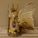 Wolpertinger Wolpi groß Bisam Präparat orange Augen mit Flügel Geweih Stock Laterne Höhe 38 cm Fabelwesen Gaudi Geschenk 86.14.13