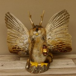 Wolpertinger Wolpi groß Bisam Präparat orange Augen mit Flügel Geweih Stock Laterne Höhe 38 cm Fabelwesen Gaudi Geschenk 86.14.13