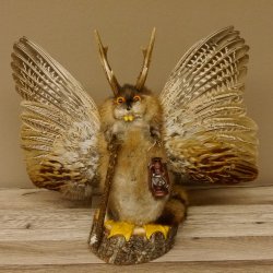 Wolpertinger Wolpi groß Bisam Präparat orange Augen mit Flügel Geweih Stock Laterne Höhe 38 cm Fabelwesen Gaudi Geschenk 86.14.13