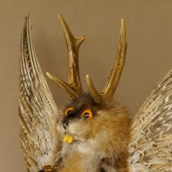 Wolpertinger Wolpi groß Bisam Präparat orange Augen mit Flügel Geweih Stock Laterne Höhe 38 cm Fabelwesen Gaudi Geschenk 86.14.13