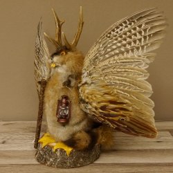 Wolpertinger Wolpi groß Bisam Präparat orange Augen mit Flügel Geweih Stock Laterne Höhe 38 cm Fabelwesen Gaudi Geschenk 86.14.13