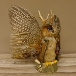 Wolpertinger Wolpi groß Bisam Präparat dunkelblaue Augen mit Flügel Geweih Stock Laterne Höhe 40 cm Fabelwesen Gaudi Geschenk 86.14.7