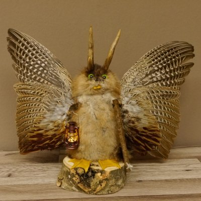 Wolpertinger Wolpi groß Bisam Präparat grüne Augen mit Flügel Geweih Stock Laterne Höhe 35 cm Fabelwesen Gaudi Geschenk 86.14.8