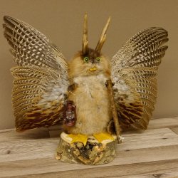 Wolpertinger Wolpi groß Bisam Präparat grüne Augen mit Flügel Geweih Stock Laterne Höhe 35 cm Fabelwesen Gaudi Geschenk 86.14.8