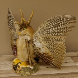 Wolpertinger Wolpi groß Bisam Präparat grüne Augen mit Flügel Geweih Stock Laterne Höhe 35 cm Fabelwesen Gaudi Geschenk 86.14.8