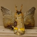 Wolpertinger Wolpi groß Bisam Präparat hellblaue Augen mit Flügel Geweih Stock Laterne Höhe 36 cm Fabelwesen Gaudi Geschenk 86.14.9