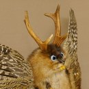 Wolpertinger Wolpi groß Bisam Präparat hellblaue Augen mit Flügel Geweih Stock Laterne Höhe 36 cm Fabelwesen Gaudi Geschenk 86.14.9