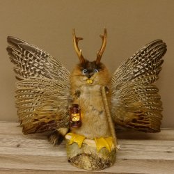 Wolpertinger Wolpi groß Bisam Präparat hellblaue Augen mit Flügel Geweih Stock Laterne Höhe 36 cm Fabelwesen Gaudi Geschenk 86.14.9