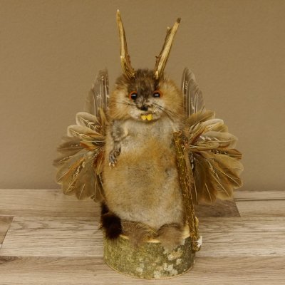 Wolpertinger Wolpi Bisam Präparat mit Stock Rehgeweih braune Augen Fabelwesen 86.4.130