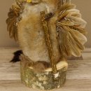 Wolpertinger Wolpi Bisam Präparat mit Stock Rehgeweih braune Augen Fabelwesen 86.4.130