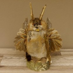Wolpertinger Wolpi Bisam Präparat mit Stock Rehgeweih braune Augen Fabelwesen 86.4.130