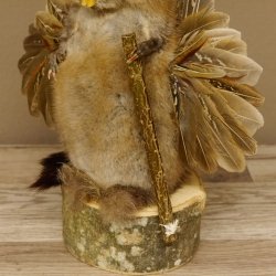 Wolpertinger Wolpi Bisam Präparat mit Stock Rehgeweih braune Augen Fabelwesen 86.4.130
