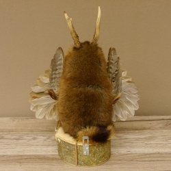 Wolpertinger Wolpi Bisam Präparat mit Stock Rehgeweih braune Augen Fabelwesen 86.4.130