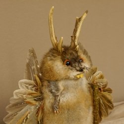 Wolpertinger Wolpi Bisam Präparat mit Stock Rehgeweih braune Augen Fabelwesen 86.4.130