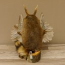 Wolpertinger Wolpi Bisam Präparat mit Stock Rehgeweih hellblaue Augen Fabelwesen 86.4.133
