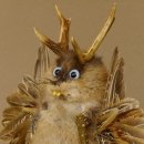 Wolpertinger Wolpi Bisam Präparat mit Stock Rehgeweih hellblaue Augen Fabelwesen 86.4.133