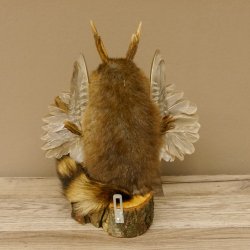 Wolpertinger Wolpi Bisam Präparat mit Stock Rehgeweih hellblaue Augen Fabelwesen 86.4.133