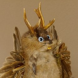 Wolpertinger Wolpi Bisam Präparat mit Stock Rehgeweih hellblaue Augen Fabelwesen 86.4.133