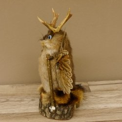 Wolpertinger Wolpi Bisam Präparat mit Stock Rehgeweih hellblaue Augen Fabelwesen 86.4.133