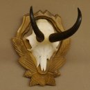 Gamsgeweih Gams Gems Geweih auf geschnitztem Trophäenschild SL 17,5 cm 47.205