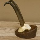 Gamsgeweih starke Gams Geiß Gems Geweih auf Trophäenschild SL 23 cm 47.213