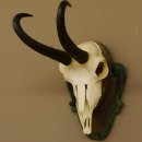 Gamsgeweih Gams Gems Geweih auf geschnitztem Trophäenschild SL 22,5 cm 47.214