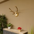 Rothirschgeweih 8 ender kleiner Hirsch Höhe 47 cm Hirschgeweih Geweih geschnitztem Schild 70.1009